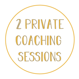 (2) 1:1 Private Business Coaching Sessions
